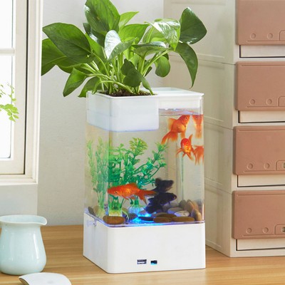 kids goldfish tank