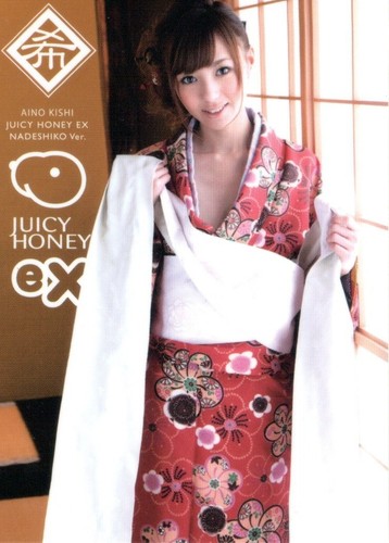 2012 Juicy Honey AINO KISHI EX "Nadeshiko" - #N-05! Japanese AV Idol