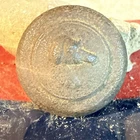 Dug Civil War 💥 🇺🇸 💣 Unique Dog Sporting Button PH LA