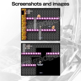 Ghosts 'n Goblins (Makaimura) Nintendo Famicom / FC [Japanese NES] Game Only