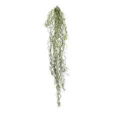 Vickerman 29.5" Plastic Artificial Tillandsia Root in Green (Set of 3)