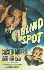 BLIND SPOT 1947  RARE MYSTERY FILM  ON DVD-R CHESTER MORRIS STARS
