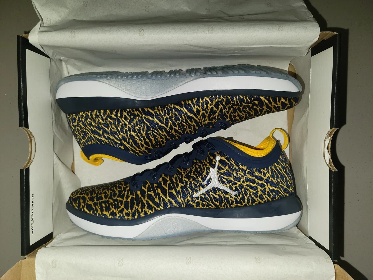 indre Fearless Ond Nike Jordan Trainer 1 Low Michigan Wolverines Size 8 Style 845403-420 Brand  New | eBay