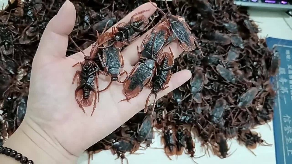 20PCS Rubber Cockroaches Realistic Cock Roach Rubber Fake Creepy Bugs ...