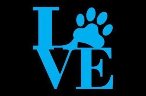 Love Paw Sticker Vinyl Decal Pet Dog Cat Wall Art Shape Car Window Animal Cute - Picture 3 of 14