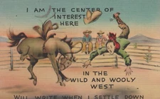 I Am The Center of Interest Here Funny Western Posted Linen Vintage Postcard