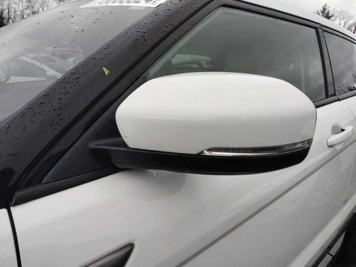 Driver Side View Mirror Electric Heated Puddle Lamp Fits 12-13 EVOQUE 2766601