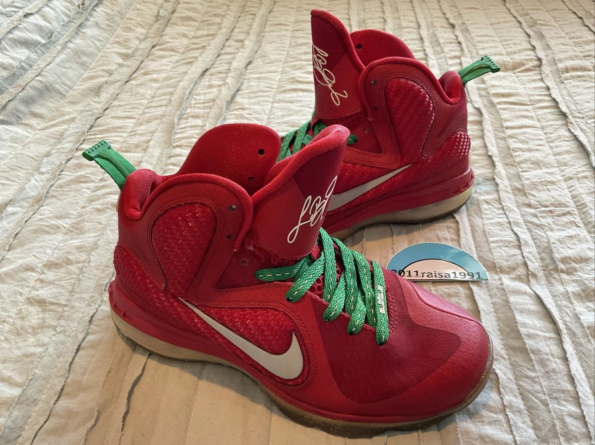 Lebron hotsell 9 xmas