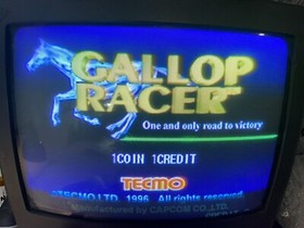Gallop Racer Jamma board (PCB) for Arcade game 100 % Working & Original
