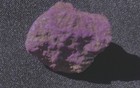 Bild 3 von 8