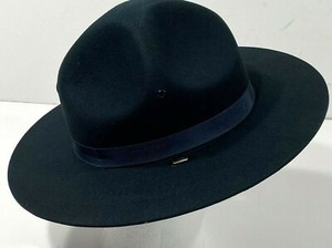 blue campaign hat