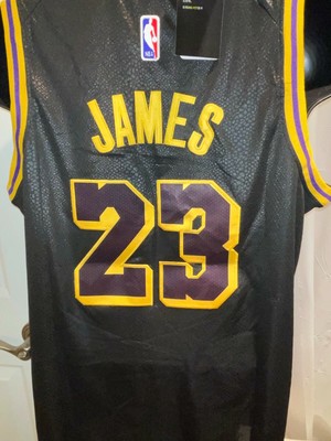 mamba edition jersey lebron