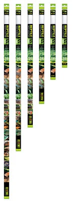 Exo Terra Reptile UVB100 T8 Leuchtstoffröhre für Tropischen Terrarien 75cm - 25w - Bild 1 von 2