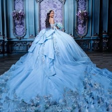 Shiny Sky Blue Ball Gown Quinceanera Dress Floral Applique Beading Bow Sweet 16