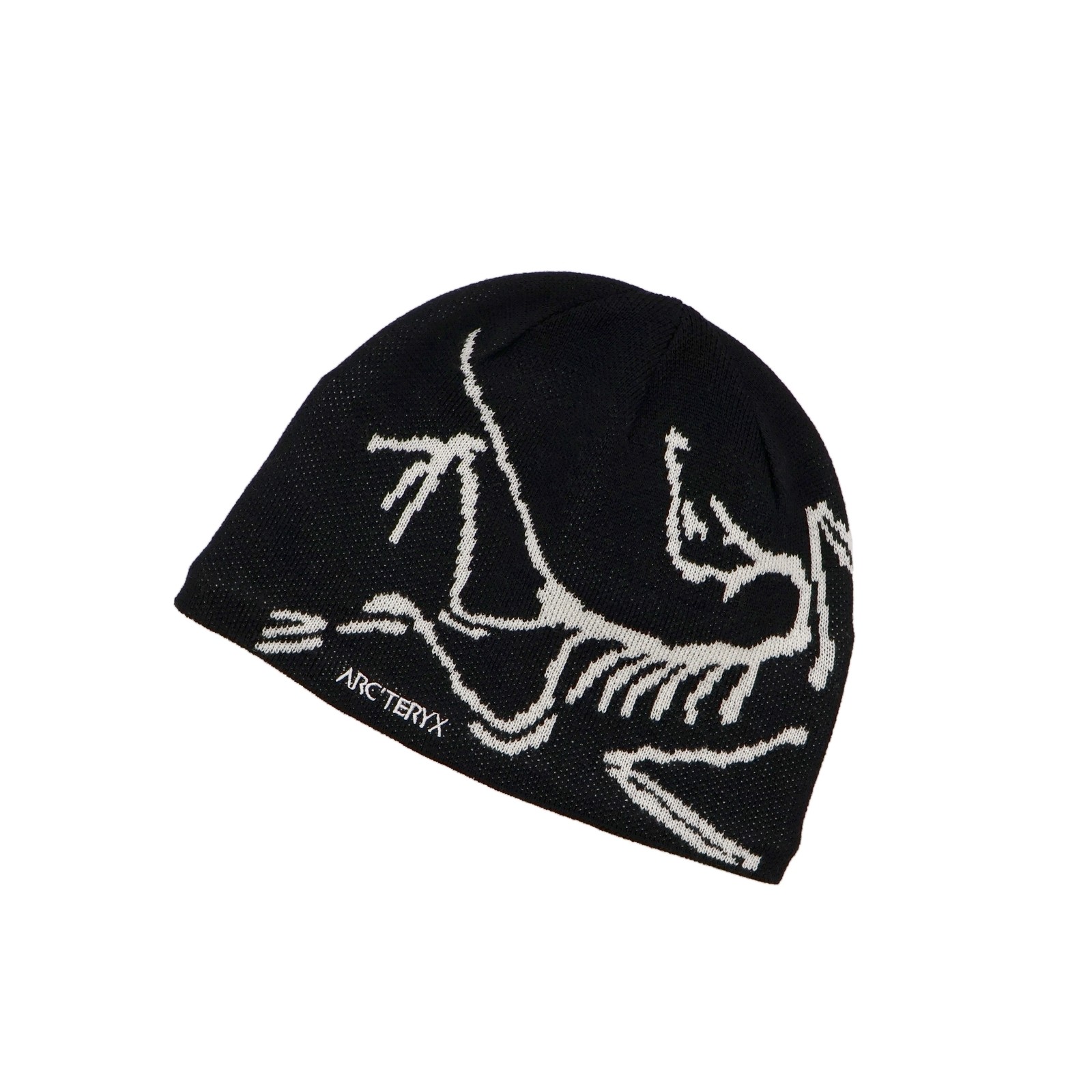 X000006756004 ARC'TERYX Bird Head Toque Orca