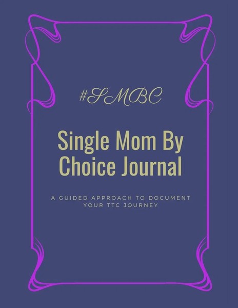 Morgan Carey | Single Mom By Choice Journal | Taschenbuch | Englisch (2020)-image