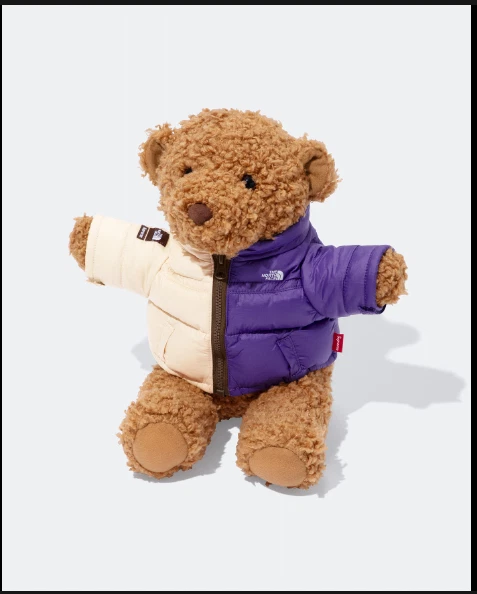Veste divisée Supreme The North Face Bear Nuptse SS24 EXPÉDIÉE MAINTENANT