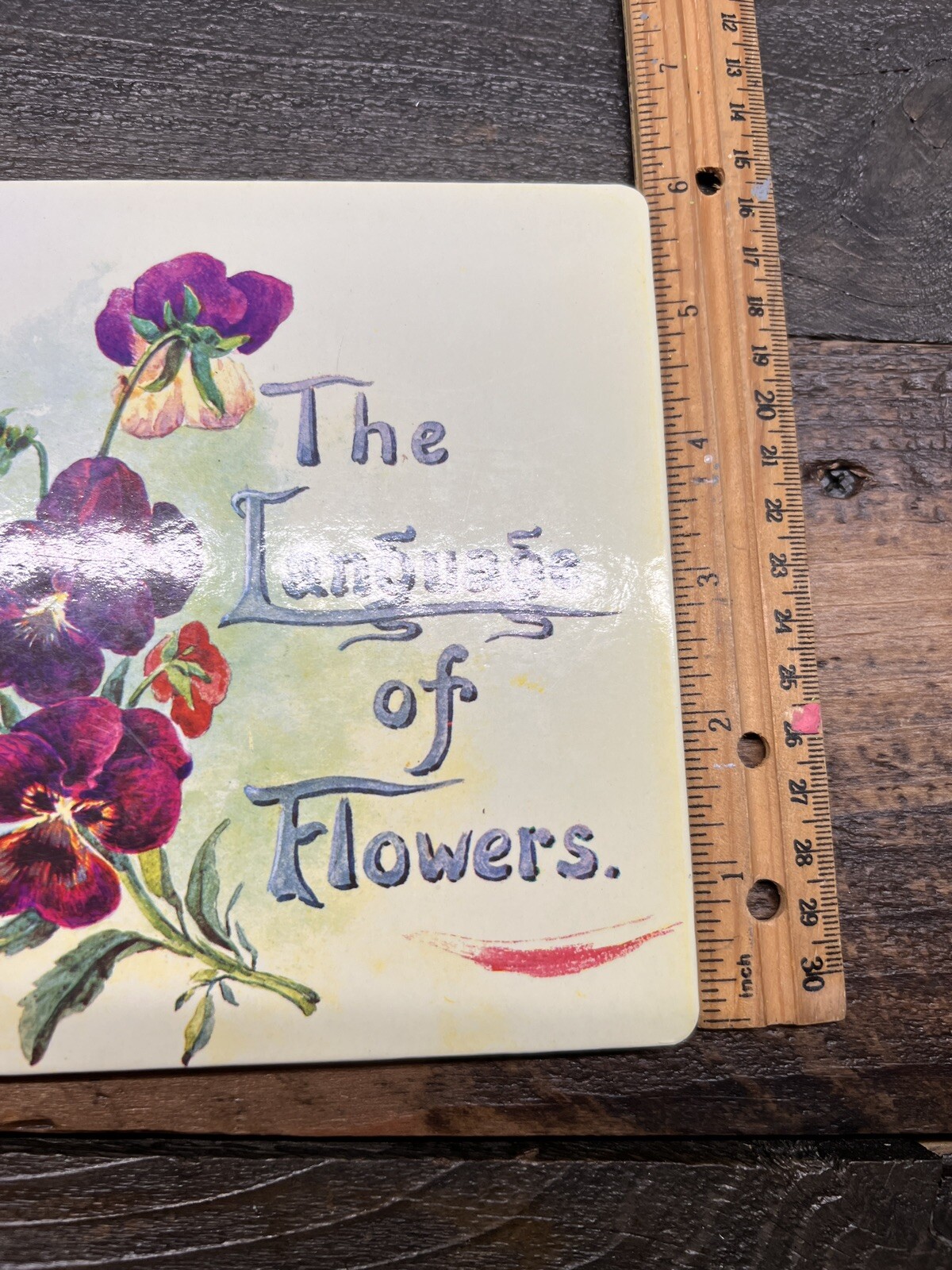 Vintage The Language of Flowers Book by Margaret Pickston, 1987 eBay