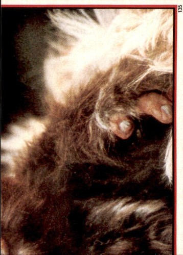 Star Wars ROTJ Trading Card Sticker Album Complete Your Set You Pick 1983 Topps - Bild 265 von 355