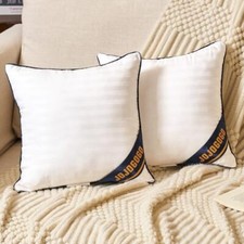 12" x 12" Pack of 2 12x12 Indoor Pillow Inserts Set of 2 Not Waterproof 