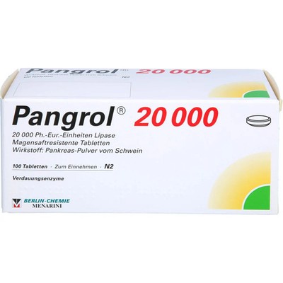 Pangrol 20.000 Magensaftresistente Tabletten 100St - PZN 4783200