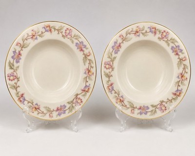 VTG Castleton Fantasy Rimmed Soup Bowls Set Of 2 Floral China Made In USA 8 