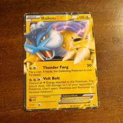 Raikou EX 38/108 Dark Explorers Holo Ultra Rare