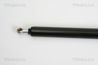 Triscan Gasfeder, Koffer-/Laderaum 8710 38227 FüR CitroËN