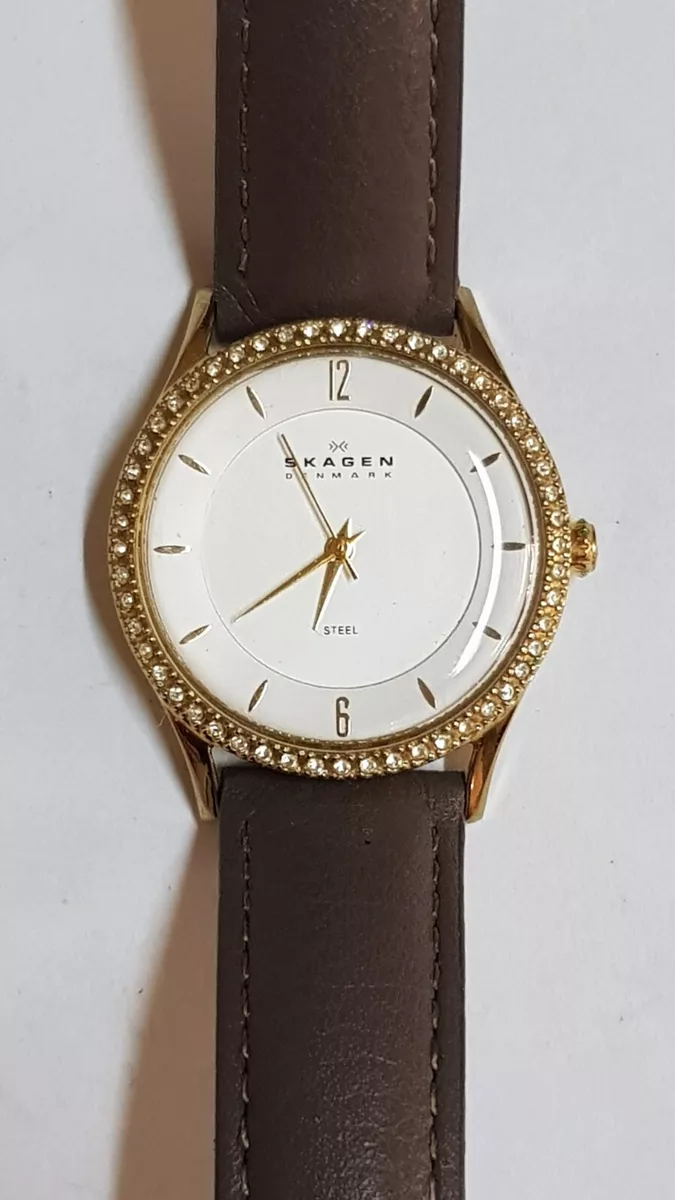 Montre Femme Skagen Denmark