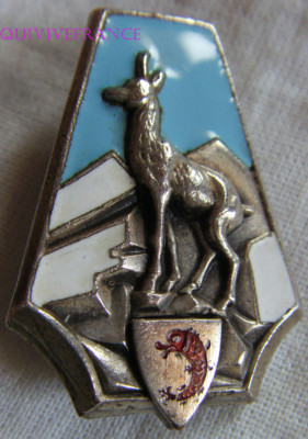 Insigne Ski Chamois Dauphiné – Badge Vintage, Sports D'hiver, Porté