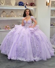 Quinceanera Dress Tulle Appliqué Lace Sweet 16 Gowns Size 14 Sweetheart Purple