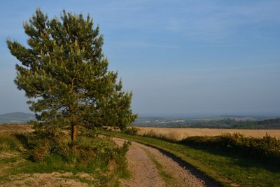 Photo A2 East Devon : Colaton Raleigh Common Footpath Hawkerland From ...