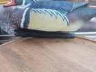 Bild 5 von 19