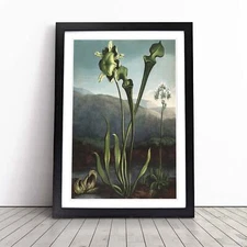 Bog Plants Framed Canvas Wall Art Print Poster Picture, Home Decor