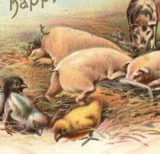 c.1910 Postcard Happy Easter Chicks Hen Chicken Barnyard Pigs Hog Traugh Piglets