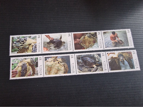 TONGA 2013 SG 1665-1672 TURTLES MNH