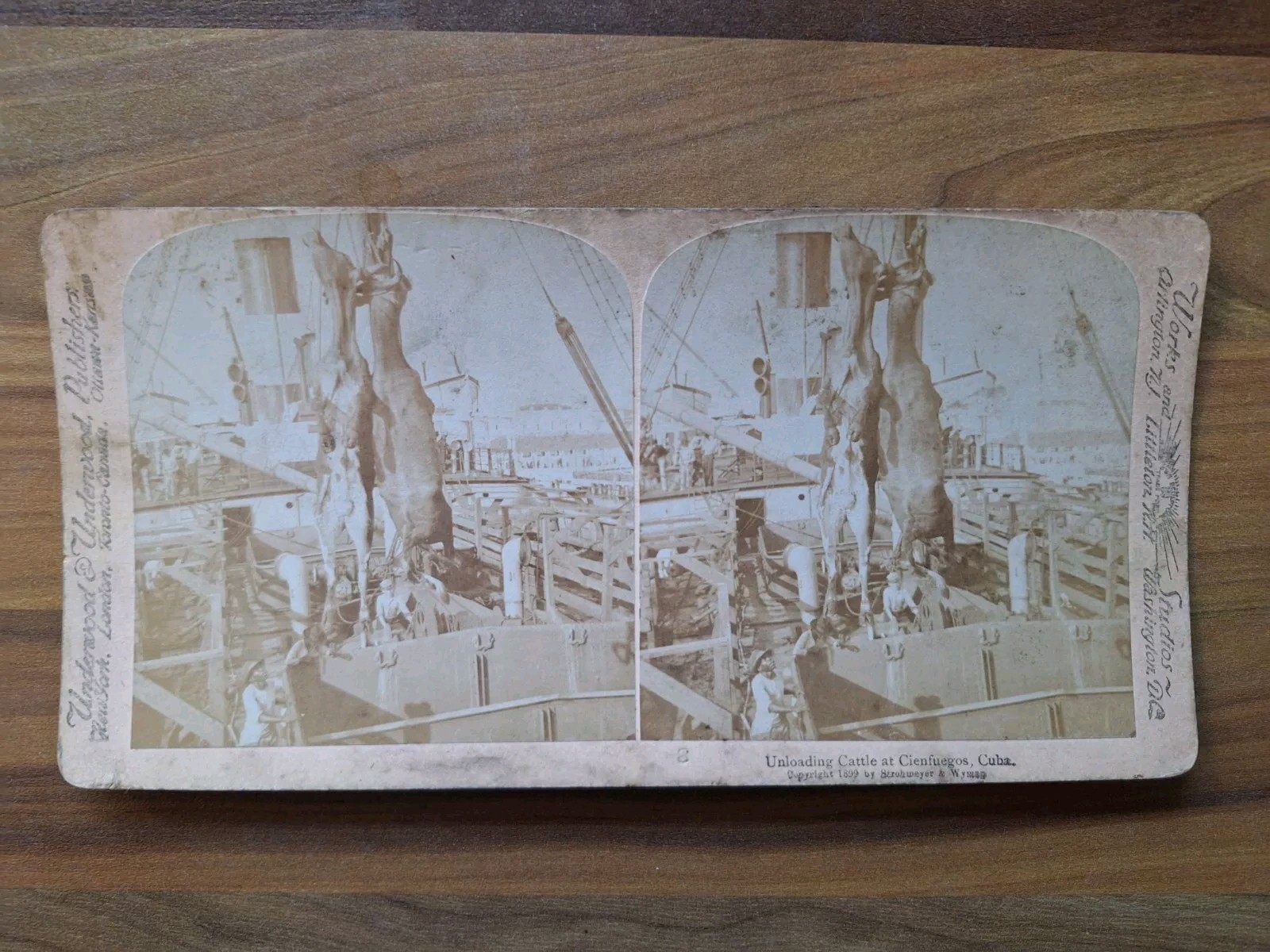 Picture 1