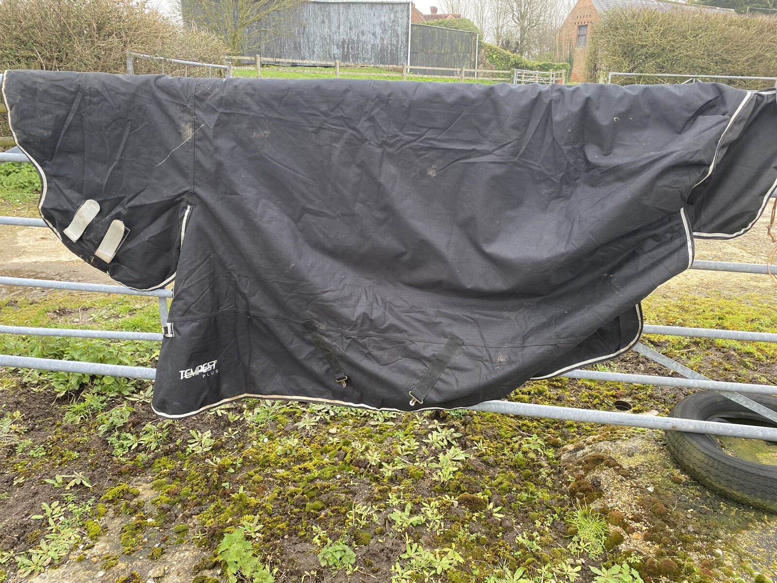 HEAVYWEIGHT TURNOUT RUG Shires Tempest 300g Combo Full Neck Waterproof