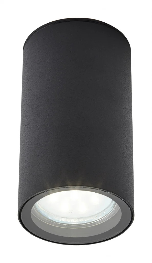 Ceiling Light Black Leto Spot IP44 Zink ZN-37939-BLK