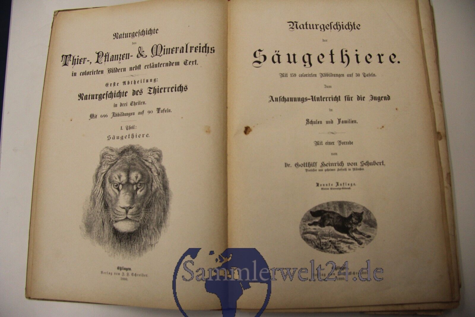 Bild 12 von 12