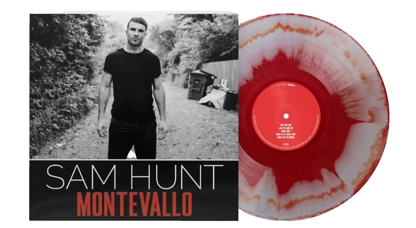 Discos de vinilo Carmesí