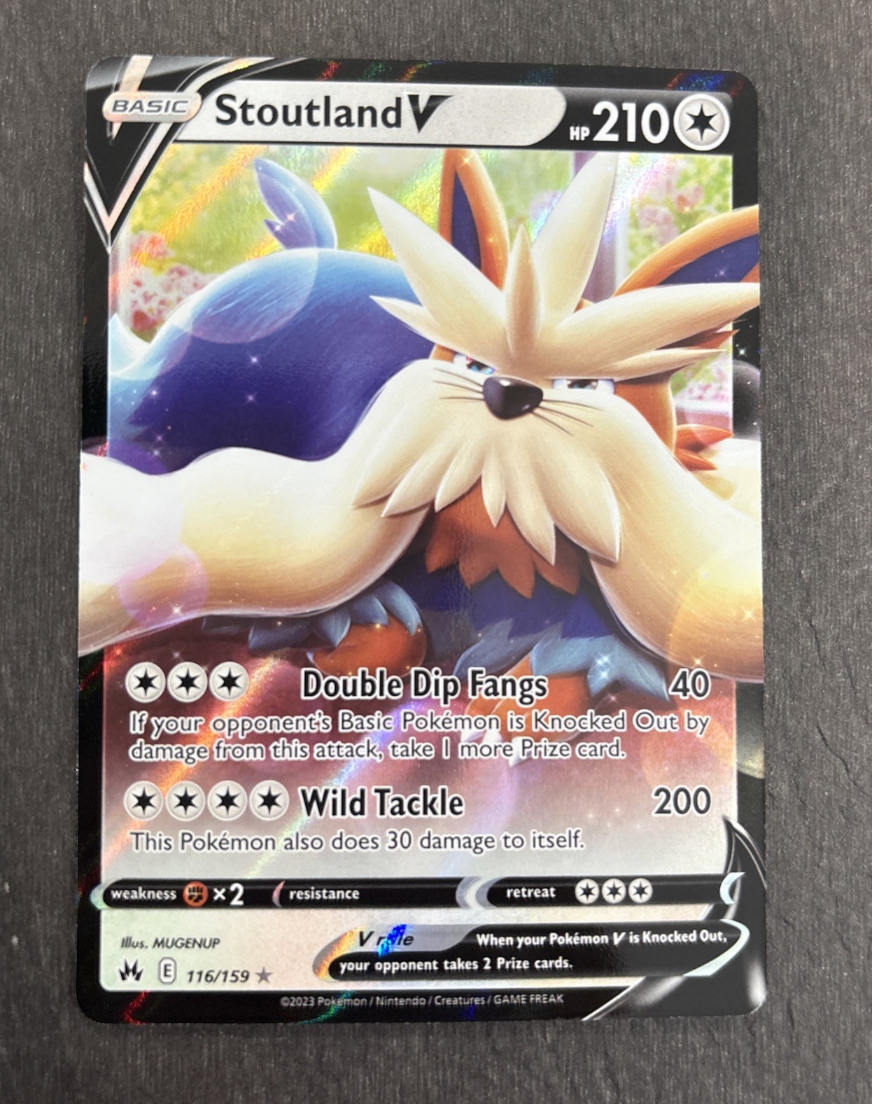 Stoutland V 116/159 Ultra Rare Crown Zenith TCG Pokemon Card NM