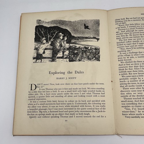 Vintage Wildlife - A Book Of Nature Stories Blandford Press Hardback Children's - Picture 5 of 9
