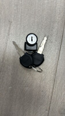 Ersatz Akku Kofferschloss für Elektrofahrräder Sie erhalten zwei Schlösser