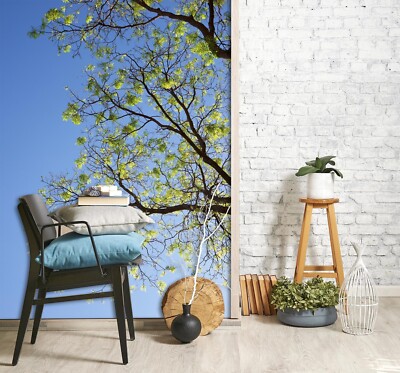 3D Sky Green Branches A9097 Wallpaper Wall Murals Removable Self-adhesive Amy 24