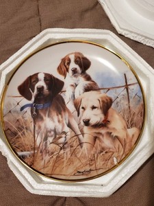 25+ Antique Dog Plates for sale | Updated Oct 2026