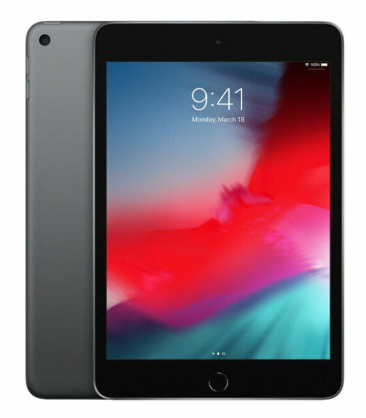 Apple iPad Mini (5th Generation) 256GB, Wi-Fi, 7.9in - Space Gray 