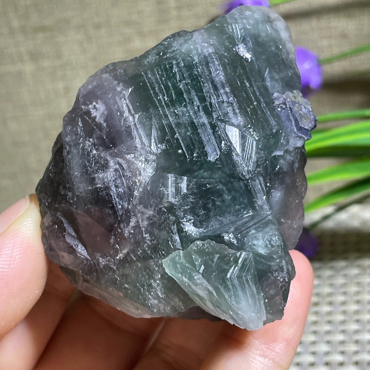 フレキシア ⭐︎cell crystal 2368g huge! Fantastic GREEN Fluorite&skeletal Elestial Quartz