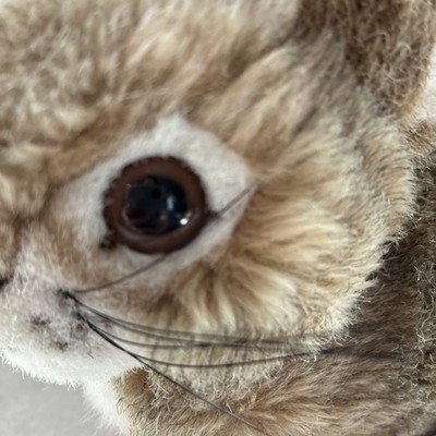 STEIFF 風の中のトード 1998年4,000体限定品 約24cm Steiff Dormili Hase 16 Rabbit 077708 Super Sweet Bunny | eBay