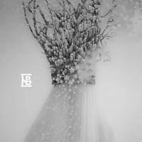 Negura Bunget Zau (Cd) Album Digipak (Us Import)